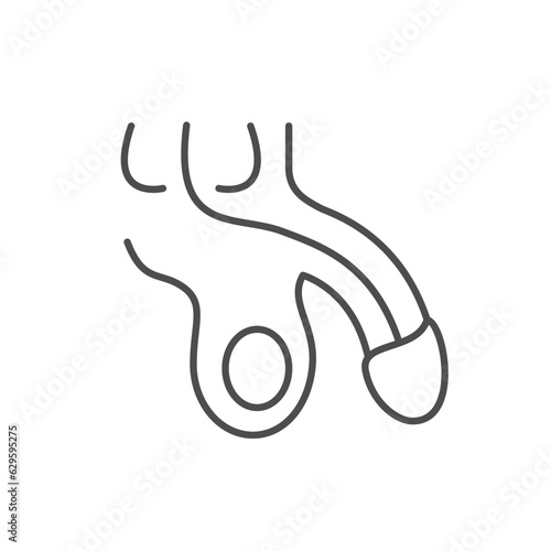 Male reproductive system line icon