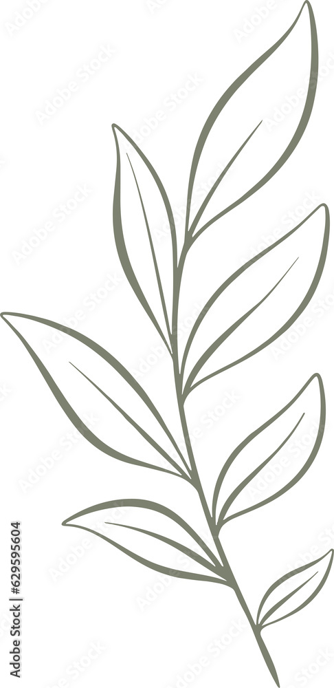 Naklejka premium leaf minimal aesthetic