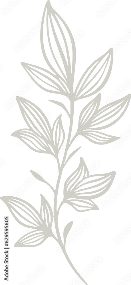 leaf minimal aesthetic leaf minimal aesthetic