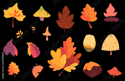 Autumn leaves vector bundle, Colorful Autumn leaves, Fall Leaves collection