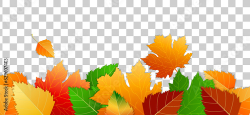 Banner on transparent background, copy space. Set of colorful leaves. Concept autumn, autumn mood. Autumn design elements. Maple leaves, birch leaves. For postcards, flyers, for sale