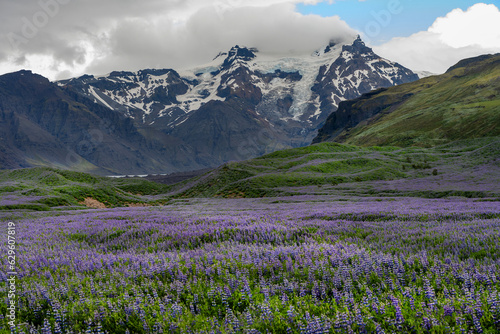 journey through the magnificent wilderness of Iceland © irisphoto1