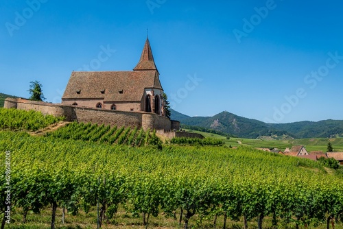 Beautiful view of Hunawihr s Fortified Church set amidst an idyllic vineyard