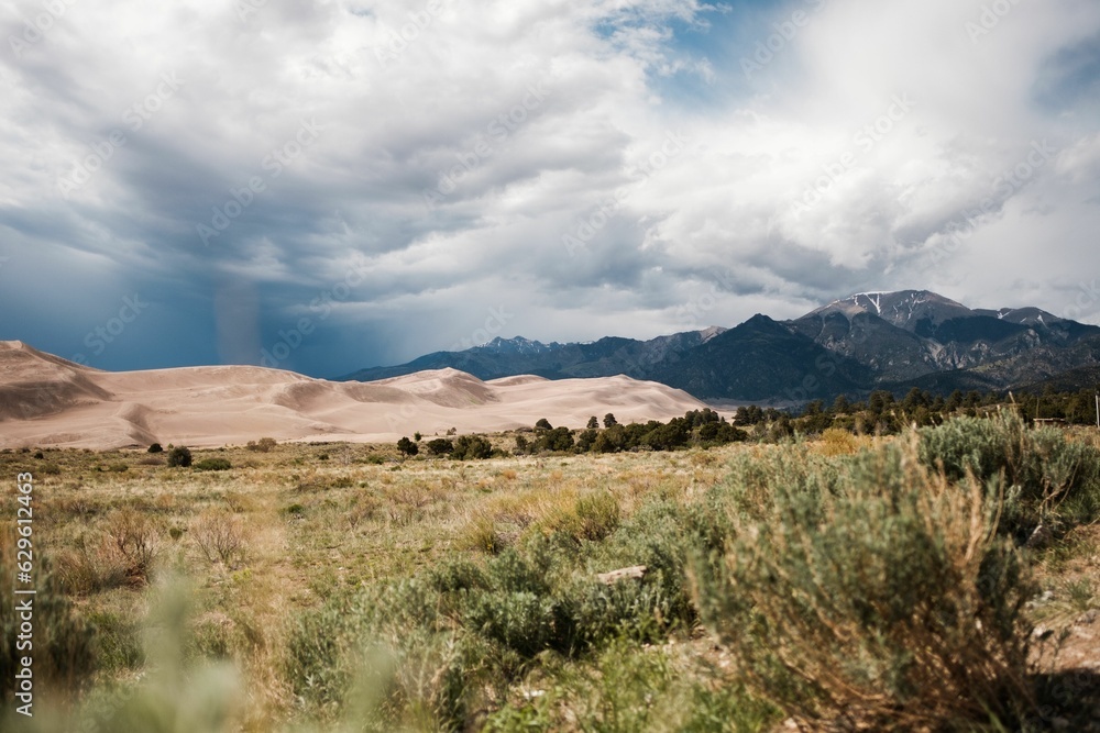 Dunes and a dry grassland with a mountain in the backdrop, Great Sand Dunes National Park