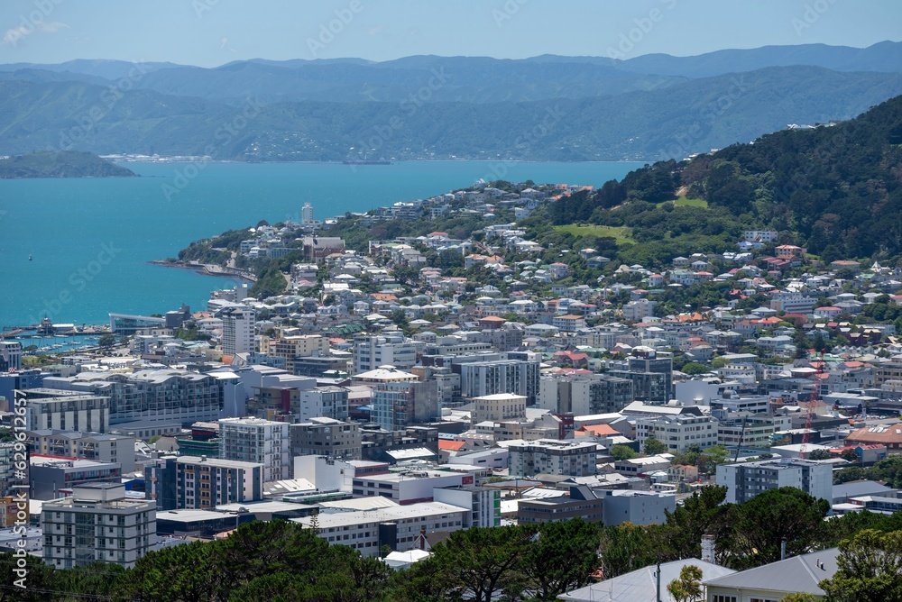 The view of Wellington city in New Zealand
