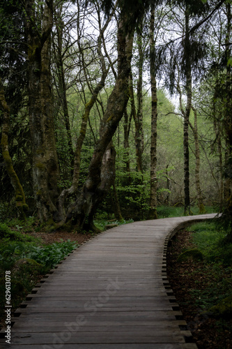 footpath through wastland in Hesse photo