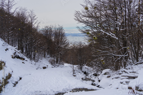 SNOWY LANDSCAPE IN USHUAIA, TIERRA DEL FUEGO, ARGENTINA. SNOWY FOREST AND VIEW OF THE BEAGLE CHANNEL. ARGENTINE PATAGONIA.
