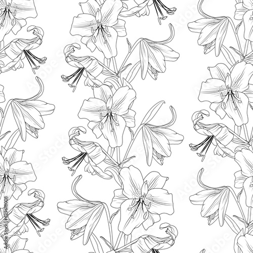 Black and white lilly line art seamless pattern. Lily amaryllis hippeastrum bloom blossom flowers. Vector illustration for fashion, textile, fabric, decoration.