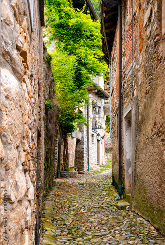 Narrow passage in old artist village Acrumeggia in Lombardy  Italy. Typical residential buildings in shabby and weathered condition with grungy colorful brick facades  idyllic atmosphere and plants.