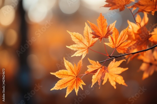 Maple leaf with Autumn background with orange  Generative with Ai.