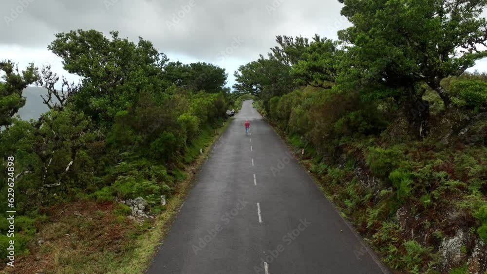 Drone view of a road between sightseeing foggy wild landscapes Drone view of a road between sightseeing foggy wild landscapes