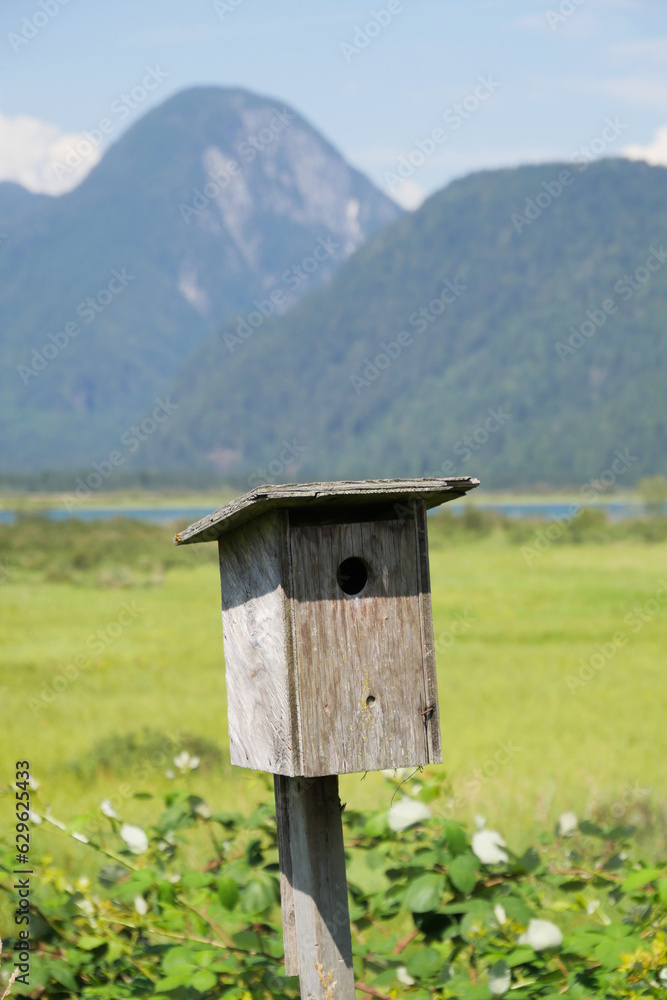 A bird house at the Pitt River Dyke near Grant Narrows Regional Park in Pitt Meadows, British Columbia, Canada A bird house at the Pitt River Dyke near Grant Narrows Regional Park in Pitt Meadows, British Columbia, Canada