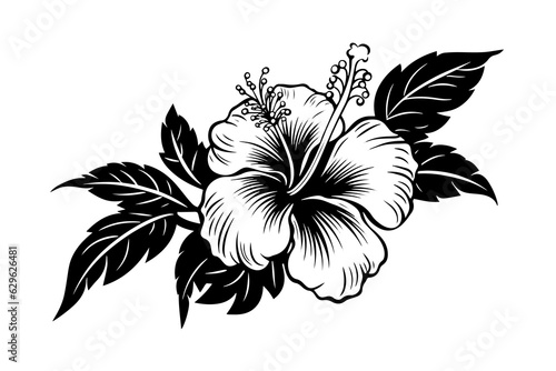 Hibiscus flowers in a vintage woodcut engraved etching style. Vector illustration.