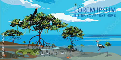 Vector illustration: Panorama of mangrove tree habitat.