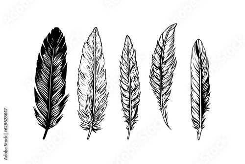 A vintage feather quill etching style sketch. Vector engraving style illustration.