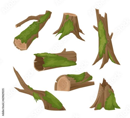 stumps in moss set. cartoon stumps covered with green wet moss, forest taiga natural objects. vector cartoon set of isolated objects.
