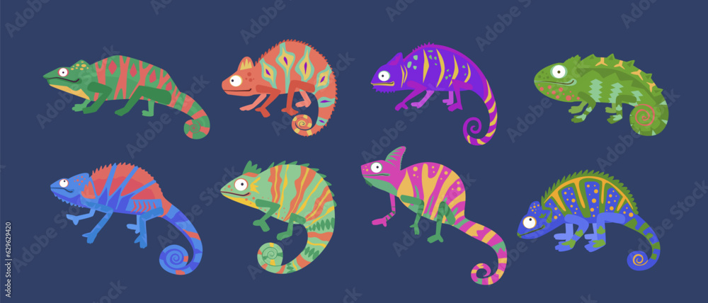 Fototapeta premium chameleons lizard jungle snakes set. different colored desert animals, reptiles. vector cartoon flat illustrations.