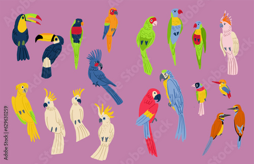 Flat design vector birds icon set. Popular birding species collection. Exotic bird set in flat design. Vector illustration