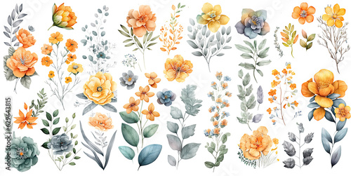 Fototapeta Naklejka Na Ścianę i Meble -  Set of  flowers watercolor collection of hand drawn, blueberries orange yellow color, blueberries elegant watercolor , blueberry isolated transparent background, PNG.