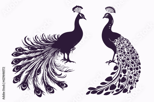 Peacock silhouette logo design set. Abstract and religion related.