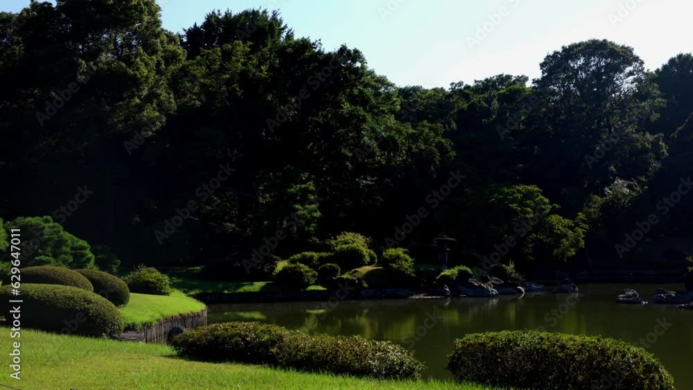 The beautiful park in Tokyo The beautiful park in Tokyo