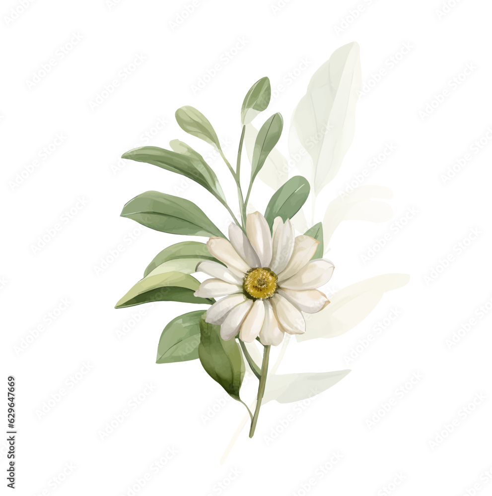 Watercolor Daisy Vector Flowers. Vintage little white flowers bouquet for Valentine's Day, wedding, sales and other events painted