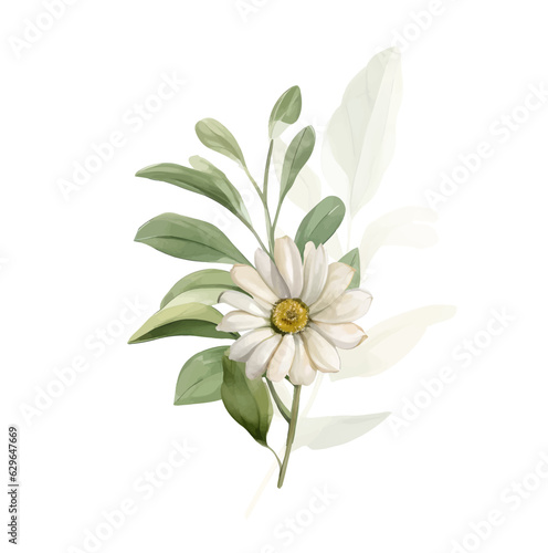Watercolor Daisy Vector Flowers. Vintage little white flowers bouquet for Valentine s Day  wedding  sales and other events painted