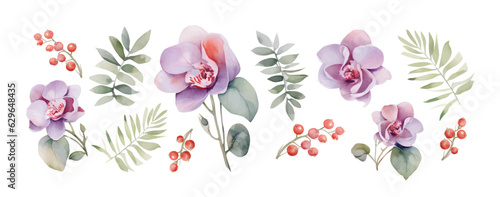 Orchid Flowers Watercolor isolated on white background. pink, purple flowers, tropical plants, green stem and leaves on white background