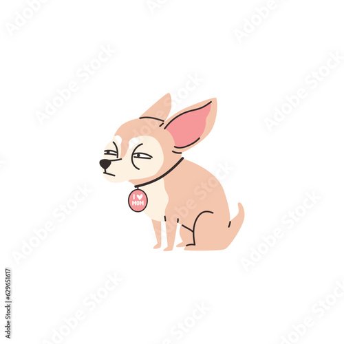 Funny squinting chihuahua dog with medallion on neck flat style