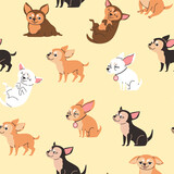 Seamless decorative pattern with cute Chihuahua dog, flat vector illustration.