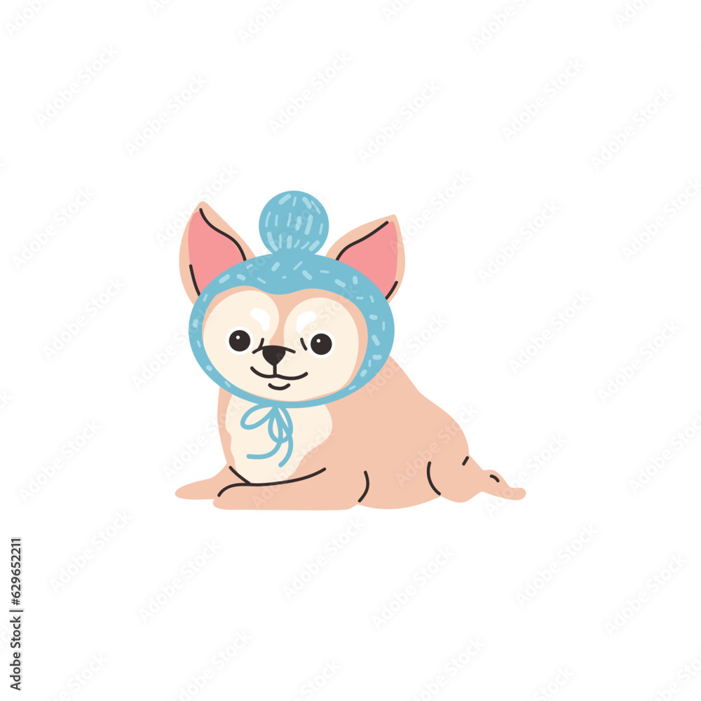 Funny lying chihuahua in cute blue hat with pompon flat style Funny lying chihuahua in cute blue hat with pompon flat style