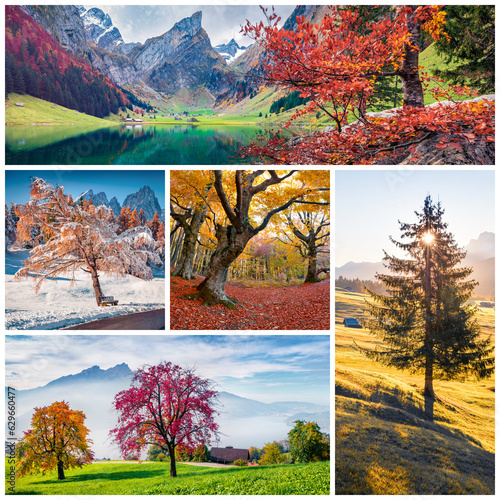 Autumn collage. Set of beautiful autumn landscapes arranged in a square. Wonderful outdoor scene of high mountains, calm lakes and colorful meadows. Beauty of nature concept background..