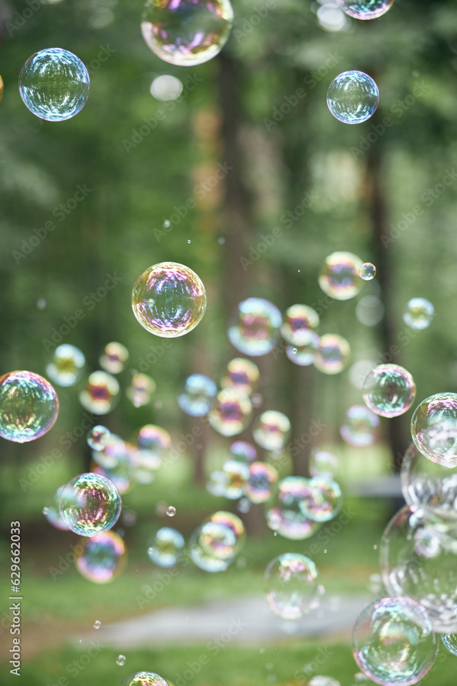 soap bubbles on grass