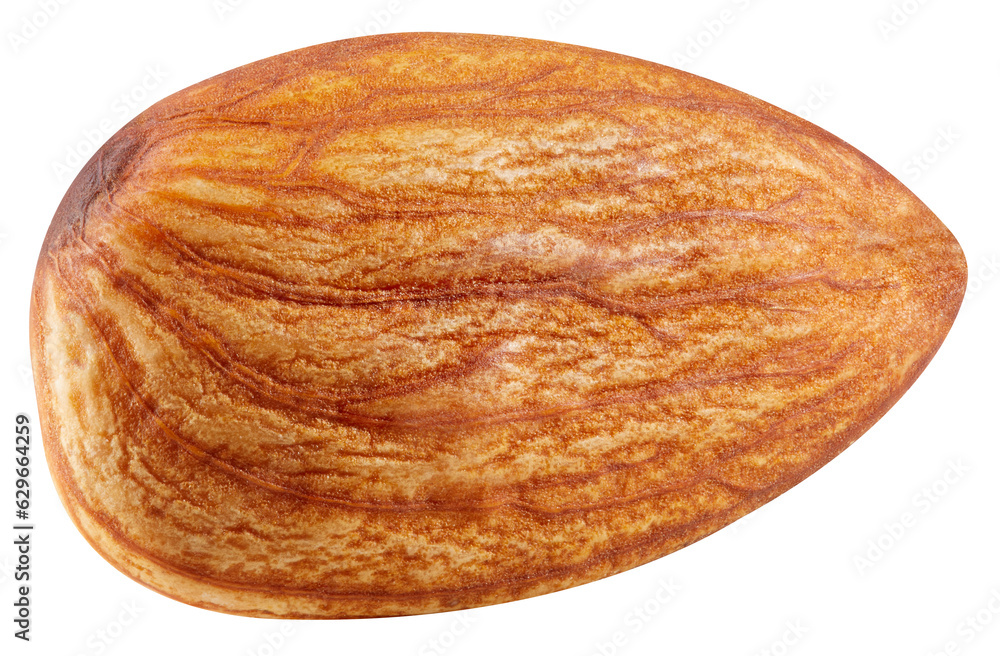 One almond isolated on white background. One almond isolated on white background.