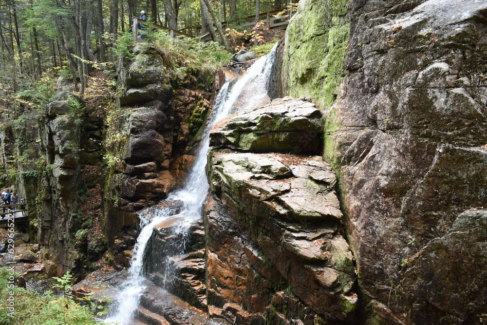 waterfall in the forest waterfall in the forest