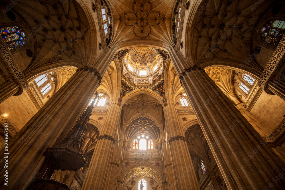 Detail of the impressive interior vaults of the cathedral of Salamanca, Castilla y Leon, Spain