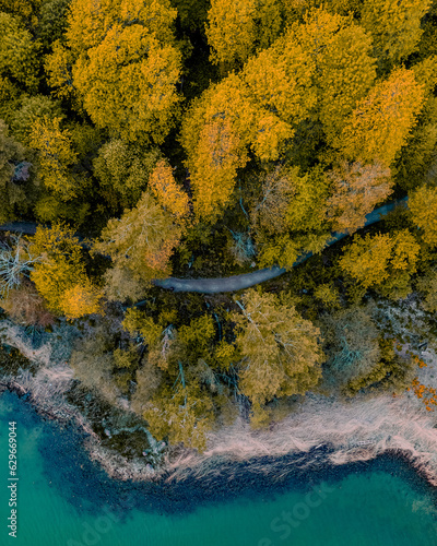 Yellow trees, path and shoreline