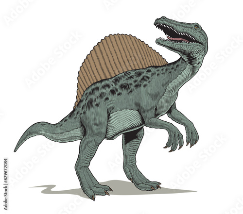 Spinosaurus dinosaur standing, isolated on white background. Comic book style vector illustration.