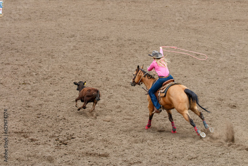 A cowgirl is riding a horse in pursuit of a calf. She is trying to lasso the calf in a rodeo competition call Break Away Roping. The cowgirl is wearing a red with a grey hat. The horse in brown.