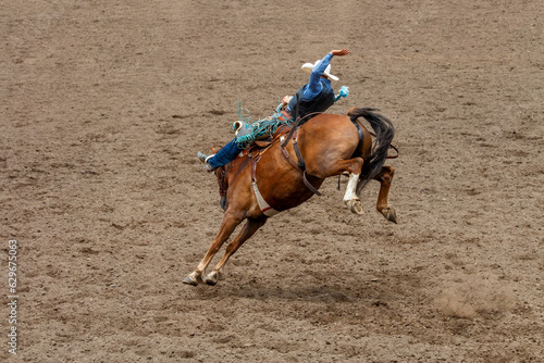 A cowboy is riding a bucking bronco at a rodeo in an arena. The horse has 2 back legs off the ground. The cowboy is wearing blue with a white hat. They are in a dirt arena.