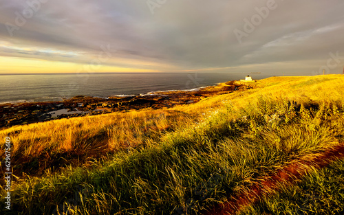 Golden light washing over the Northumberland Coastline.