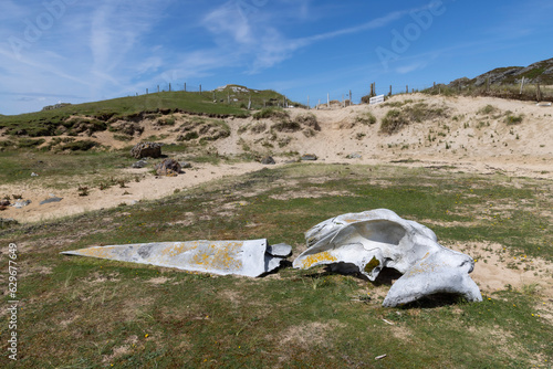 Whale bones on Kiloran Bay on the isle of Colonsay in Scotland photo