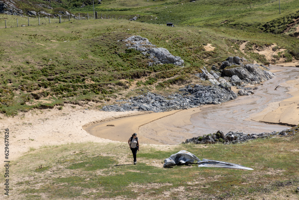 Whale bones on Kiloran Bay on the isle of Colonsay in Scotland