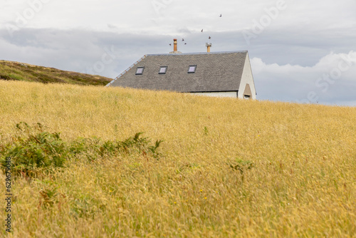 Obraz na płótnie Flowering meadow in summer on the isle of Colonsay in Scotland w salonie