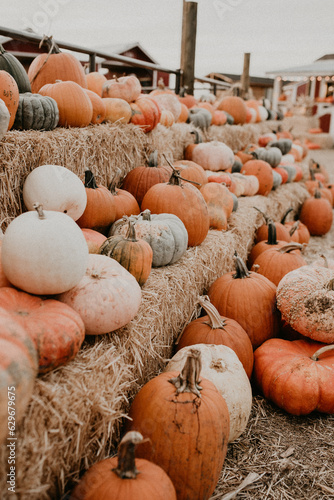 Fotografie Fall October Halloween Pumpkin Patch Makayla Madden Photography Idaho Farmstead