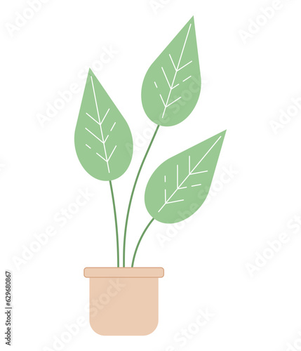 Monstera plant in pot semi flat colour vector object. Big exotic plant leaves with venes. Editable cartoon clip art icon on white background. Simple spot illustration for web graphic design photo