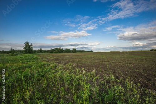 landscape of summer wildlife in the countryside