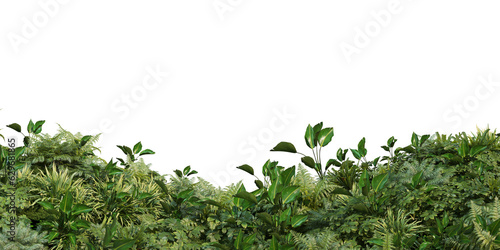 Small garden foreground with multiple plants on transparent background