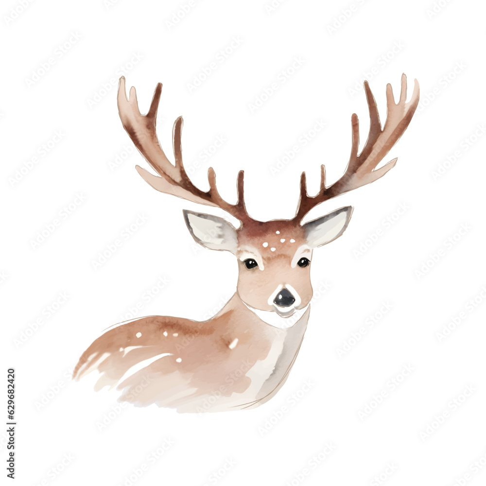 Hand drawn vector illustration of deer with antler isolated on white Hand drawn vector illustration of deer with antler isolated on white