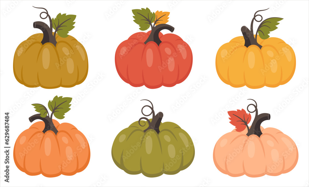 Pumpkin set isolated. Collection of whole pumpkin with leaves. Ripe harvest vegetable. Vector illustration for autumn design, good nutrition, agricultural harvest, Thanksgiving, Halloween Pumpkin set isolated. Collection of whole pumpkin with leaves. Ripe harvest vegetable. Vector illustration for autumn design, good nutrition, agricultural harvest, Thanksgiving, Halloween